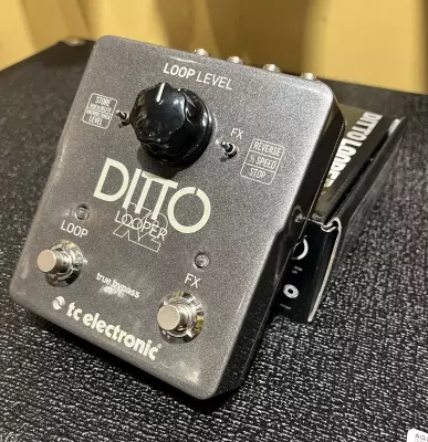 Store Special Product - TC Electronic - DITTO X2